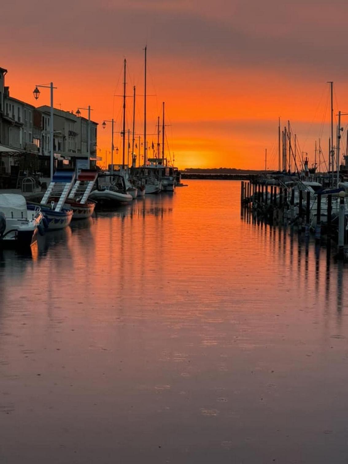 T3 Cosy Et Spacieux - 4 A 6 Couchages - Climatise, Calme Proche Etang De Thau * Marseillan (Herault)