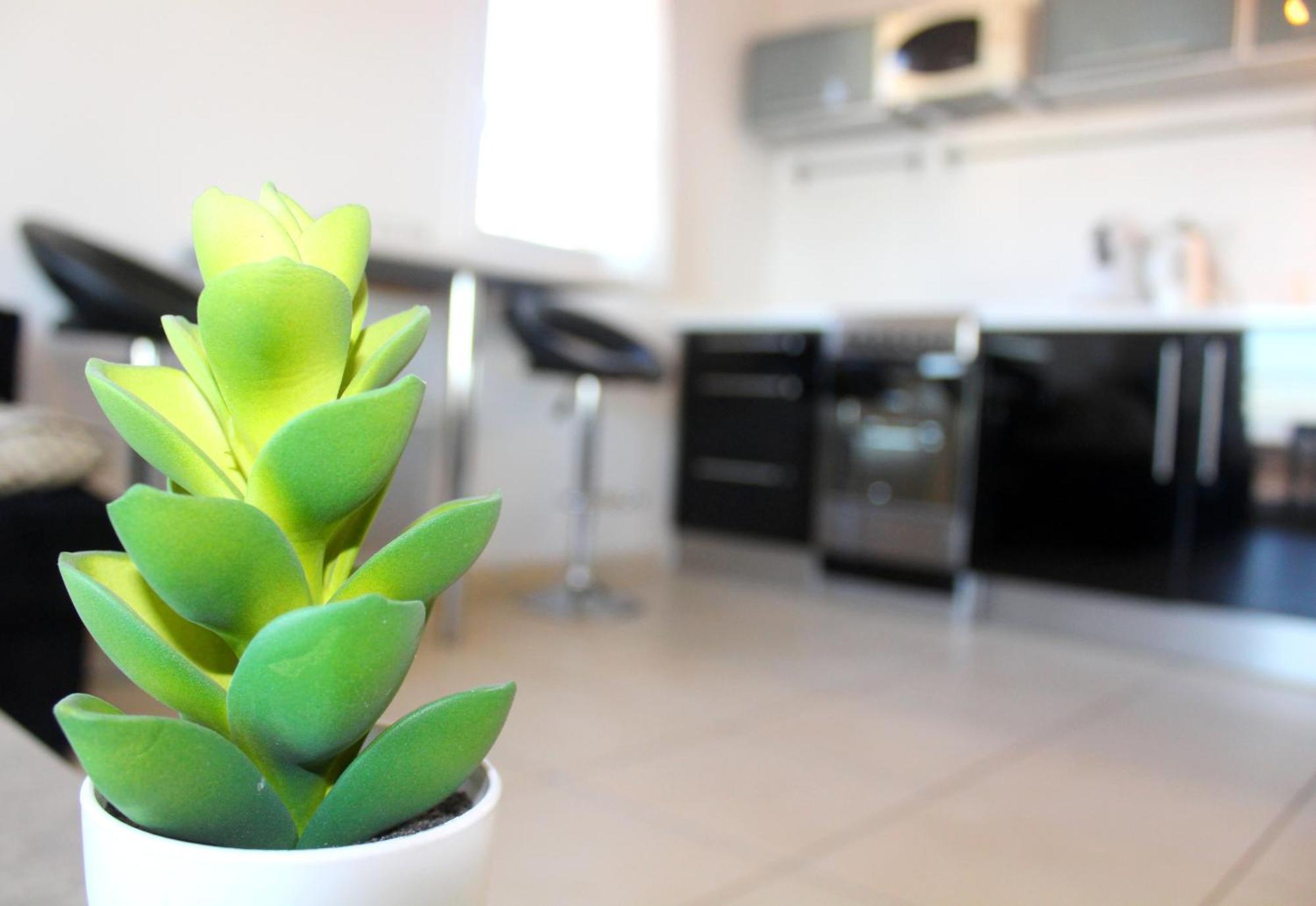 T3 Cosy Et Spacieux - 4 A 6 Couchages - Climatise, Calme Proche Etang De Thau Appartement Marseillan (Herault)